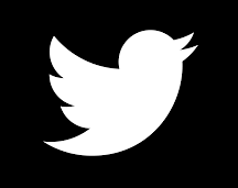 Twitter Logo